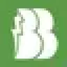 BESTE logo