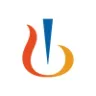 NVS logo