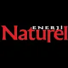 NATEN logo